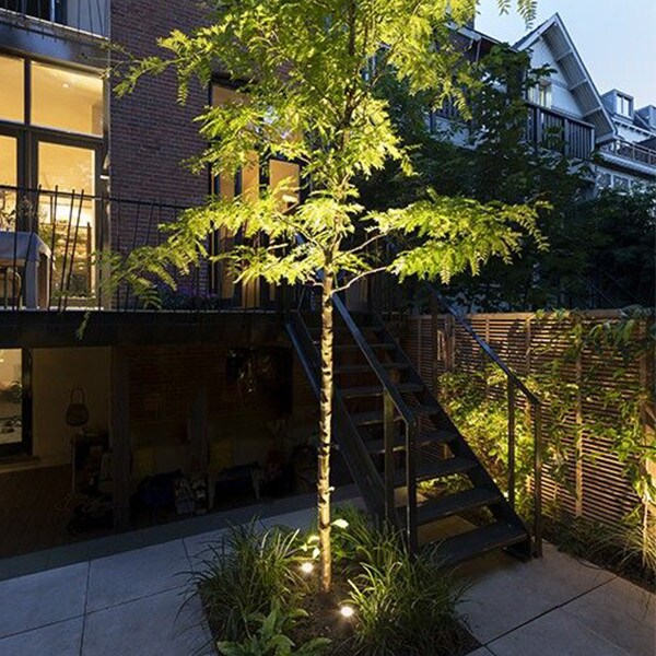 Garden Accent and Ambiance Lighting